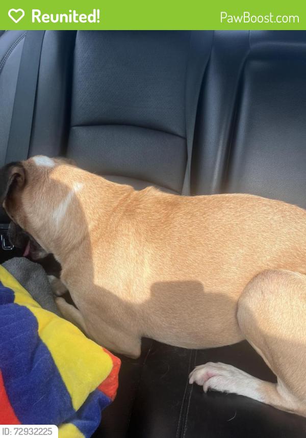 Reunited Male Dog last seen My Buddy’s Boarding and Daycare, Warner Robins, GA 31098