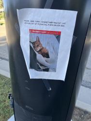 Found/Stray Male Cat last seen Near e white cir, Salt Lake City, UT 84109