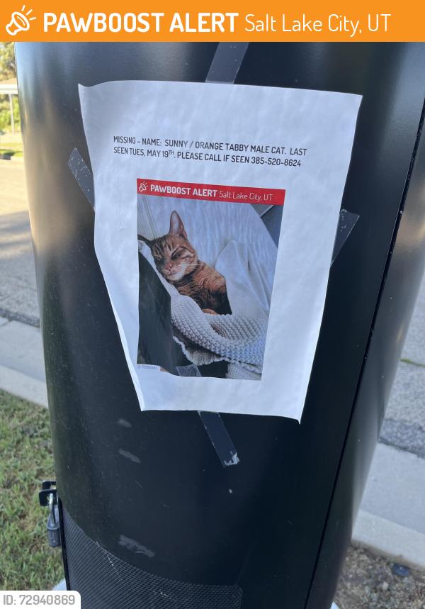 Found/Stray Male Cat last seen Near e white cir, Salt Lake City, UT 84109