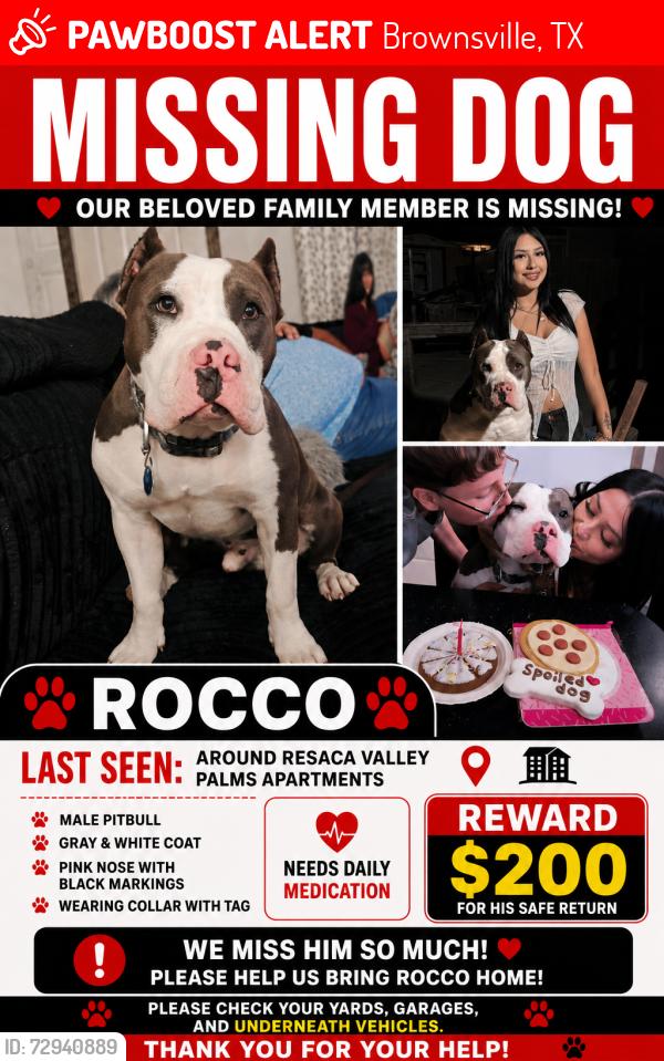 Lost Male Dog last seen Resaca Valley Palm apmts, Brownsville, TX 78526