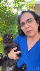 Lost Female Cat last seen Azure and Ann , Las Vegas, NV 89130