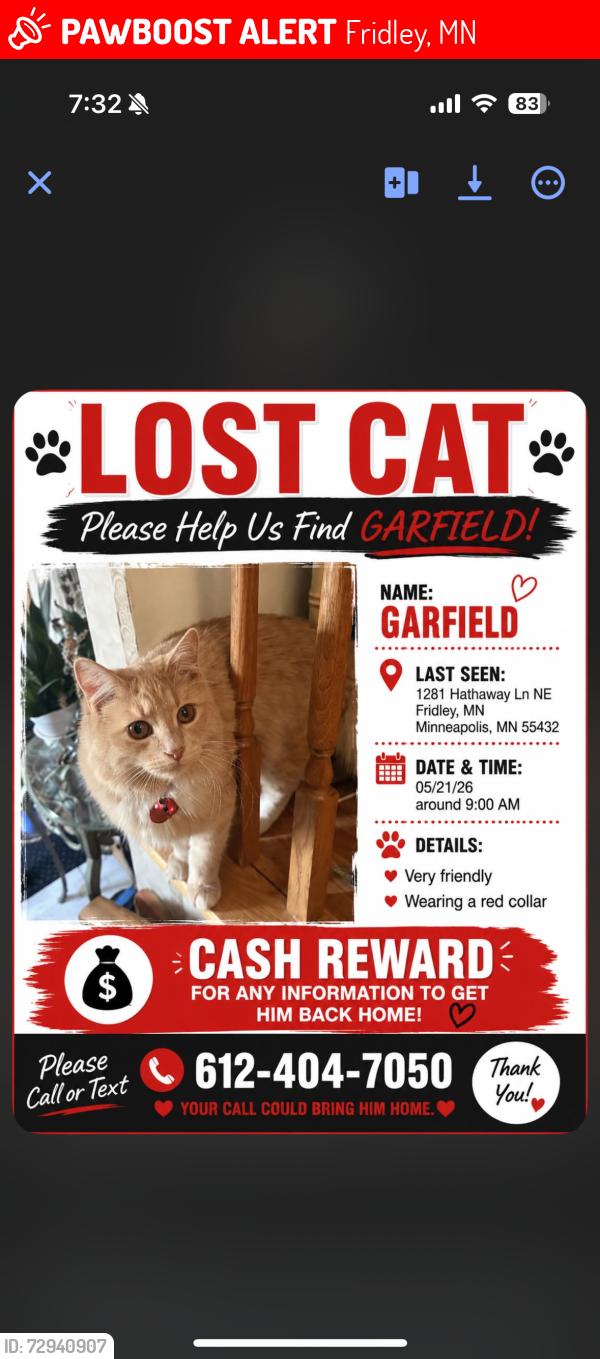 Lost Male Cat last seen Near Hathaway ln ne Fridley, Fridley, MN 55432