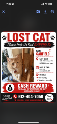 Lost Male Cat last seen Near Hathaway ln ne Fridley, Fridley, MN 55432
