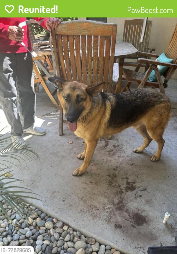 Reunited Male Dog last seen West, Barstow, CA 92311
