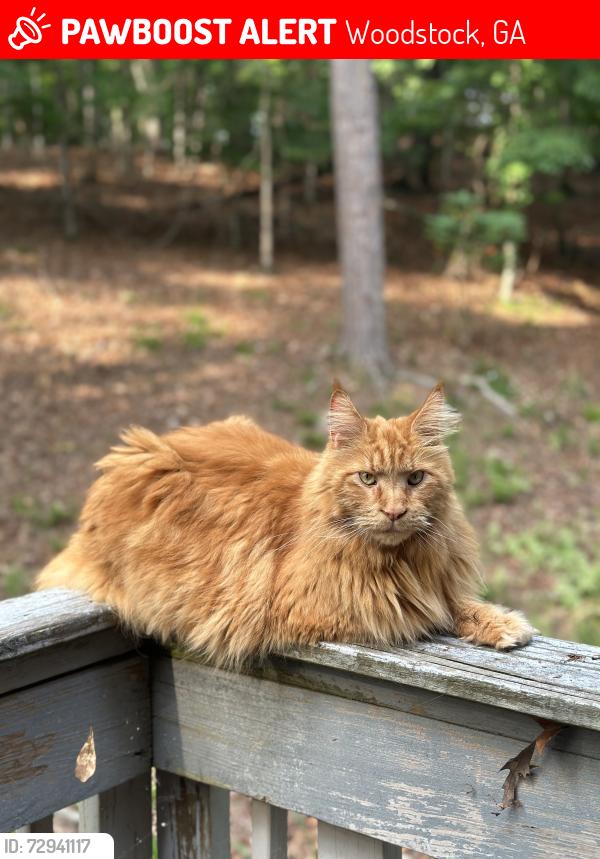 Lost Male Cat last seen Victoria landing , Woodstock, GA 30189