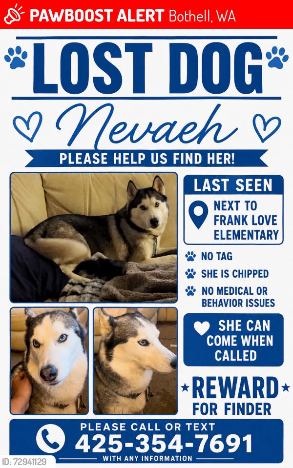 Lost Female Dog last seen Meridian and 228, Bothell, WA 98021