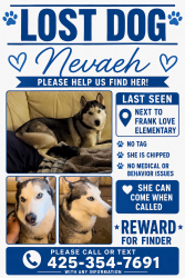 Lost Female Dog last seen Meridian and 228, Bothell, WA 98021
