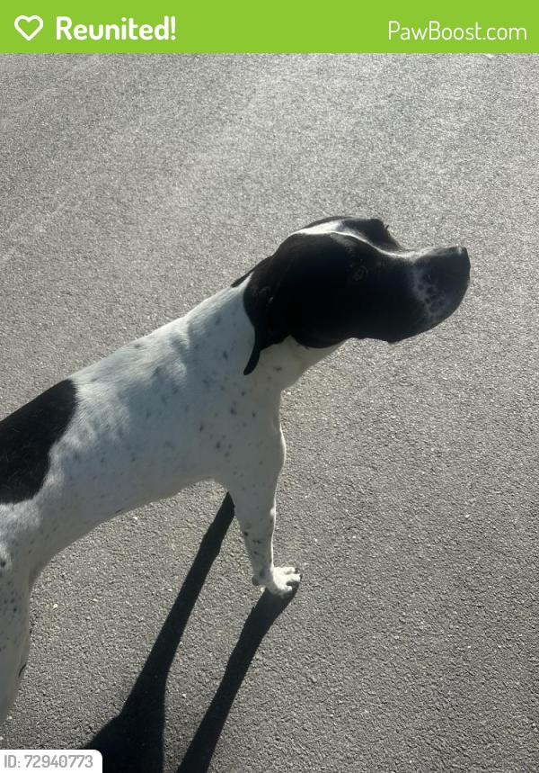 Reunited Male Dog last seen Wattles Rd and Winding Wood Way, Emmett Township, MI 49014