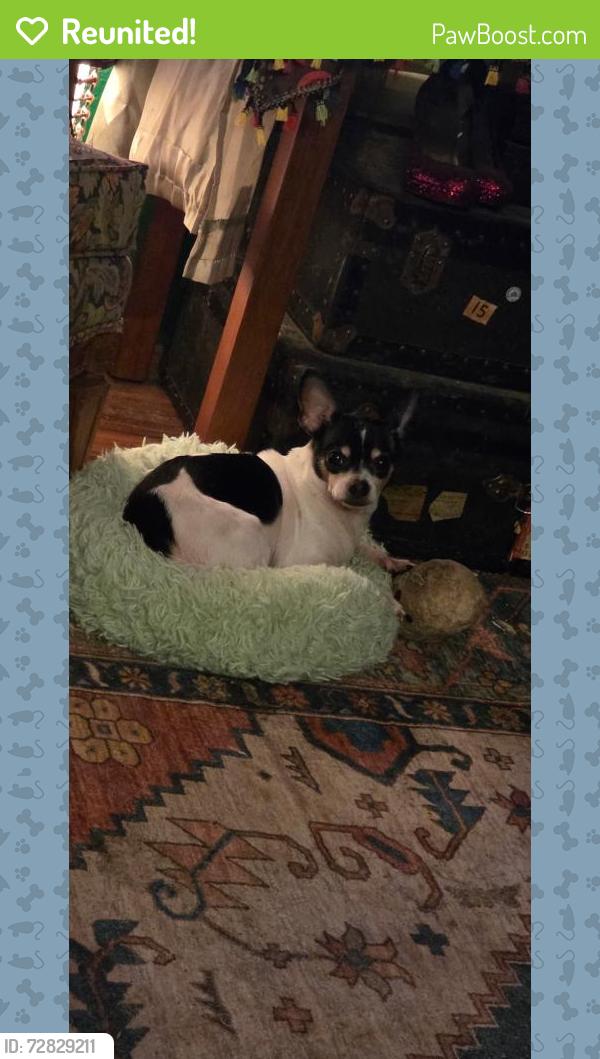 Reunited Male Dog last seen Douglas Ave Gervais, OR, Gervais, OR 97026