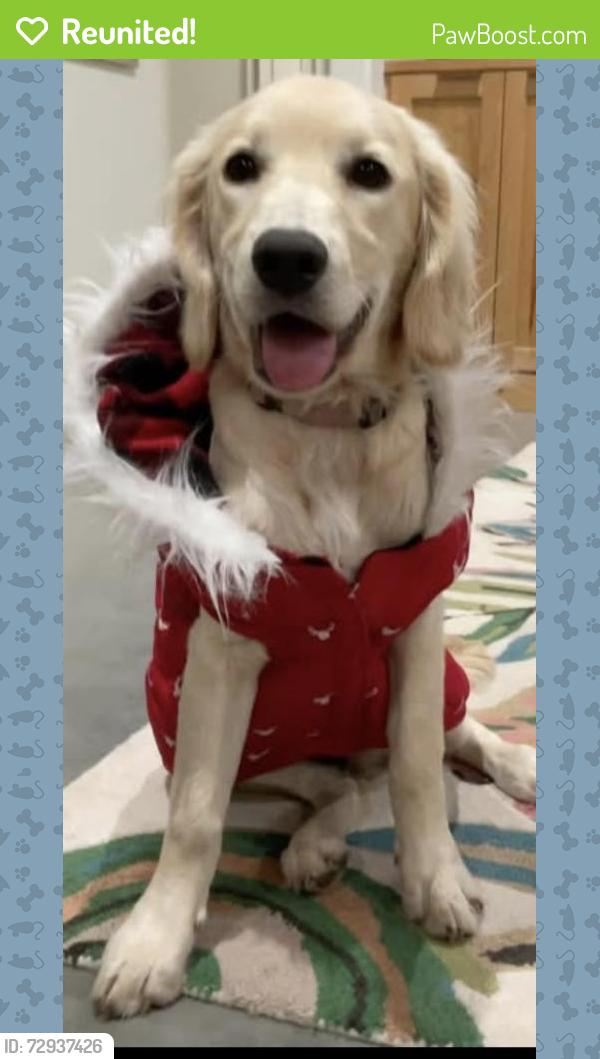 Reunited Female Dog last seen 7 miles from Walmart North, Victoria, TX 77904