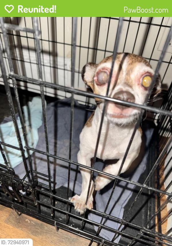 Reunited Male Dog last seen Running , Harrisburg, PA 17103