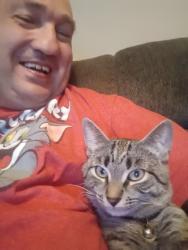Reunited Male Cat last seen Charles ave and caroline, Solvay, NY 13209
