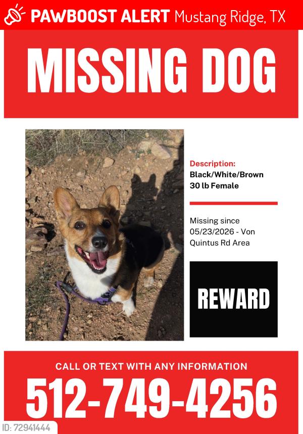 Lost Female Dog last seen Von Quintas RD /Maha Loop/ Maha Creek SH130 Mustang Ridge , Mustang Ridge, TX 78610