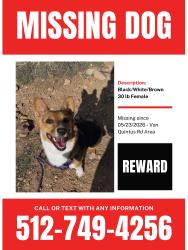 Lost Female Dog last seen Von Quintas RD /Maha Loop/ Maha Creek SH130 Mustang Ridge , Mustang Ridge, TX 78610