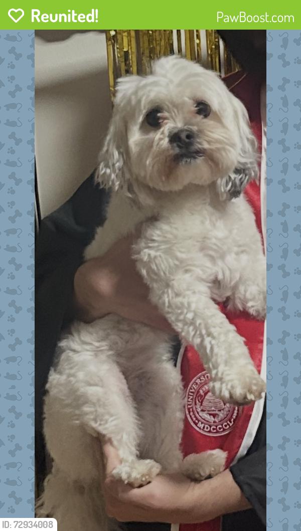 Reunited Female Dog last seen Near s 8070 w magna utah 84044, Magna, UT 84044