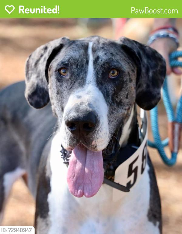 Reunited Male Dog last seen Near Tremont st , Southern Pines, NC 28387