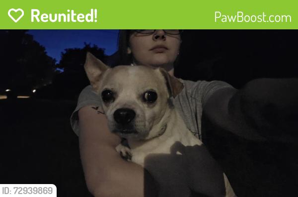 Reunited Male Dog last seen Corner of Weigold Ave and Dane Ave, Cincinnati, OH 45223