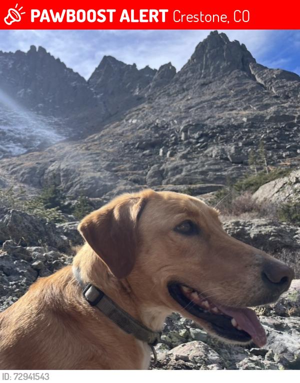 Lost Male Dog last seen hmstd, Crestone, CO 81131