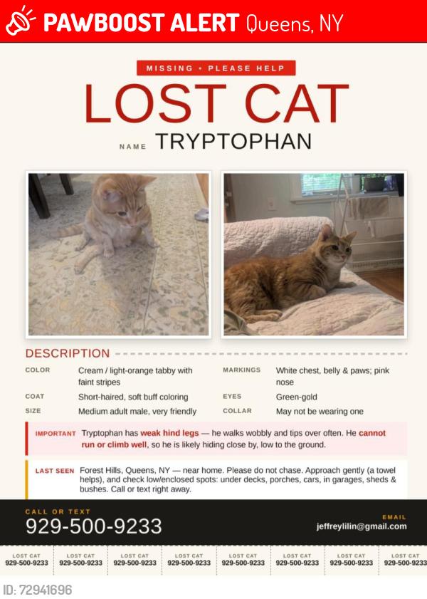 Lost Male Cat last seen 68-37 108th St, Queens, NY 11375