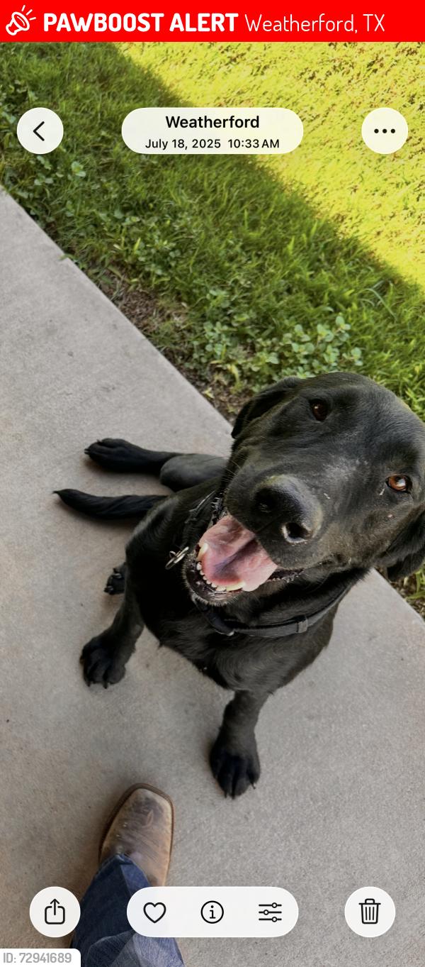 Lost Male Dog last seen Caain Lane / Old Garner Road, Weatherford, TX 76088