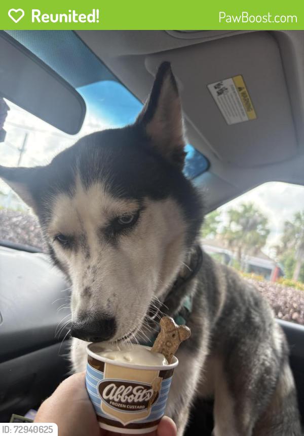 Reunited Female Dog last seen 13th ln sw , Florida Ridge, FL 32962