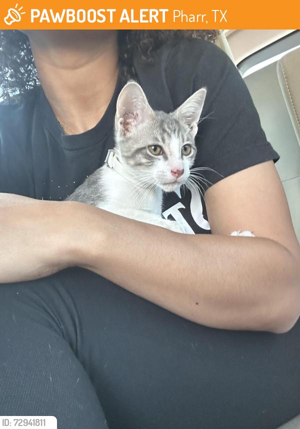 Found/Stray Male Cat last seen HEB ON CAGE, Pharr, TX 78577