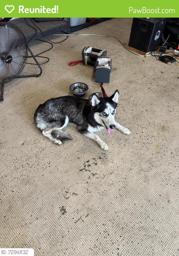 Reunited Unknown Dog last seen Oakmont Drive Miami Gardens Drive, Hialeah, FL 33015