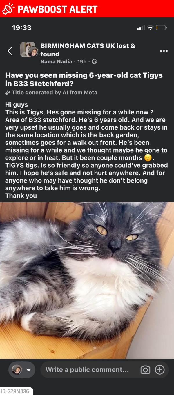 Lost Male Cat last seen Neachley grove, West Midlands, England B33