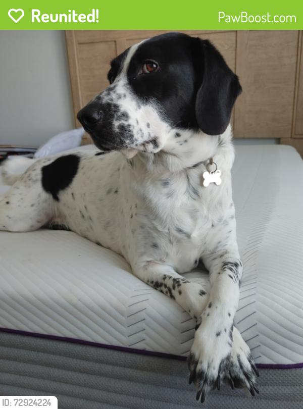 Reunited Male Dog last seen Wooded area between Lake Land'Or and South Ladysmith Village, Caroline County, VA 22546