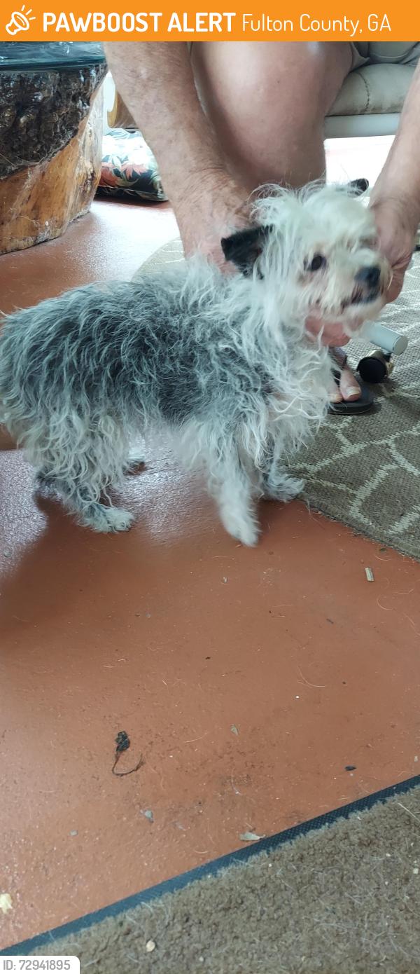 Found/Stray Unknown Dog last seen Old National Hwy and Hallie Hills Subdivision, Fulton County, GA 30349
