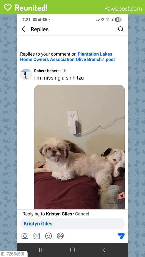 Reunited Female Dog last seen Hickory Dr, Olive Branch, MS 38654, USA, Olive Branch, MS 38654