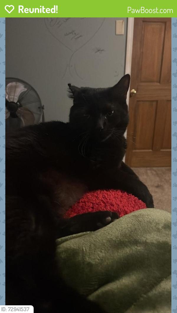 Reunited Male Cat last seen North D and 19th street, Elwood, IN 46036