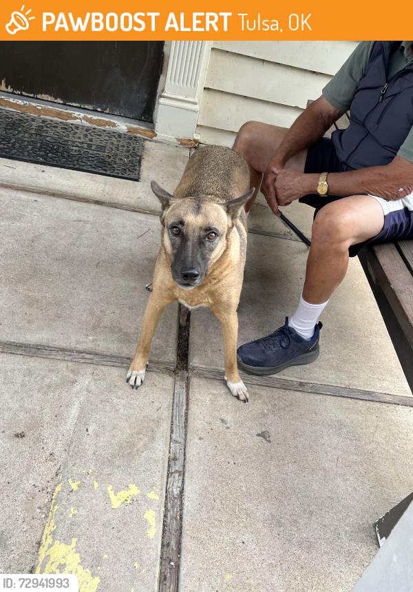 Found/Stray Female Dog last seen Mohawk Golf Course, Tulsa, OK 74115
