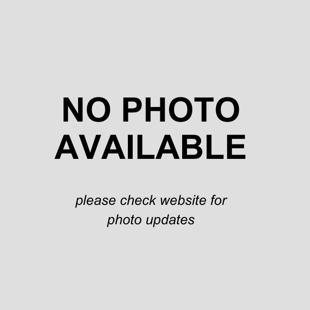 Shelter Stray Female Dog last seen W MARTIN ST, San Antonio, TX 78227
