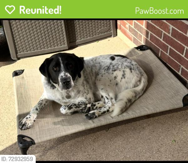 Reunited Male Dog last seen Matlock & Country Club, Mansfield, TX 76063