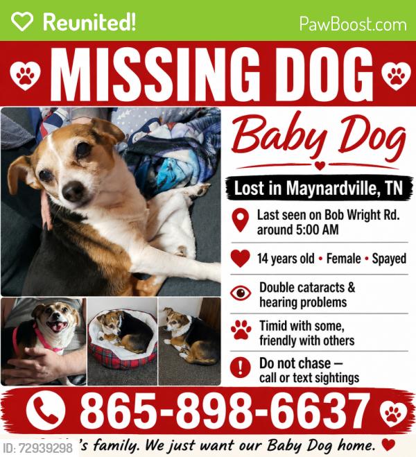 Reunited Female Dog last seen Bob Wright Rd in front of my hse, Union County, TN 37807