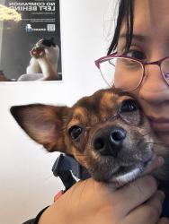 Lost Male Dog last seen Galveston st, Kentucky st, South Houston, TX 77587
