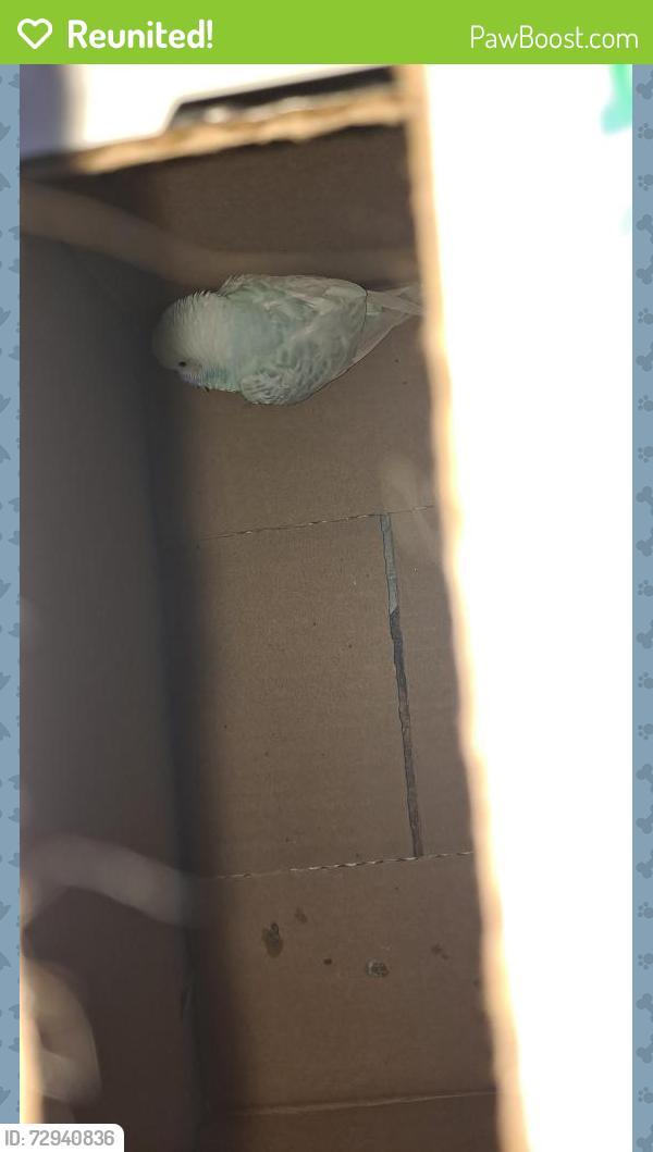 Reunited Unknown Bird last seen Animal welfare league of Alexandria , Alexandria, VA 22311
