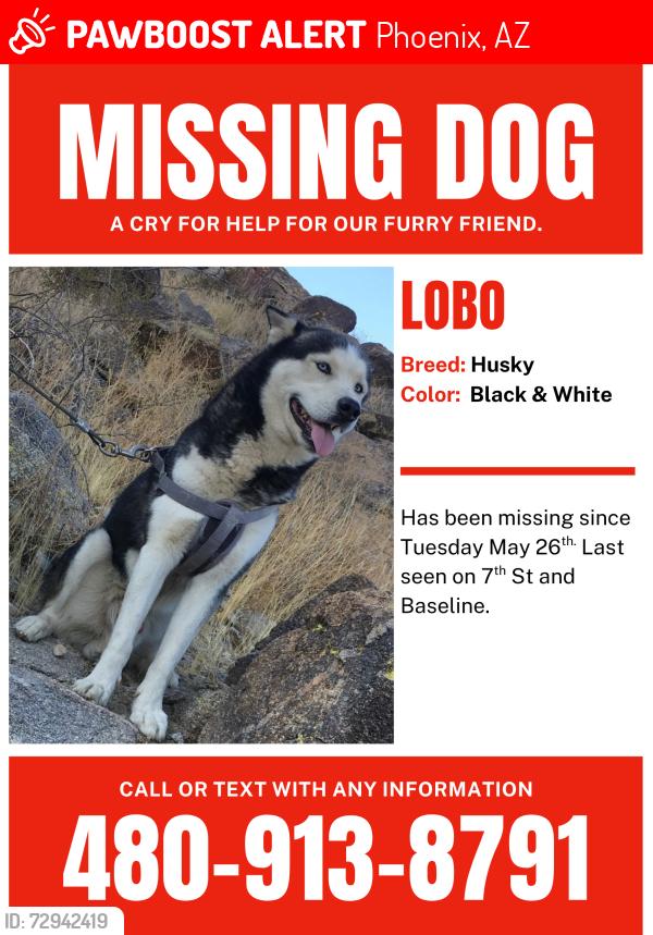 Lost Male Dog last seen 7th Street and Baseline, Phoenix, AZ 85042