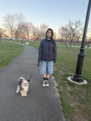 Lost Female Dog last seen Near fir  ave valley stream, Valley Stream, NY 11580
