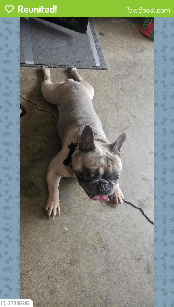 Reunited Male Dog last seen Amar and valinda , West Covina, CA 91792