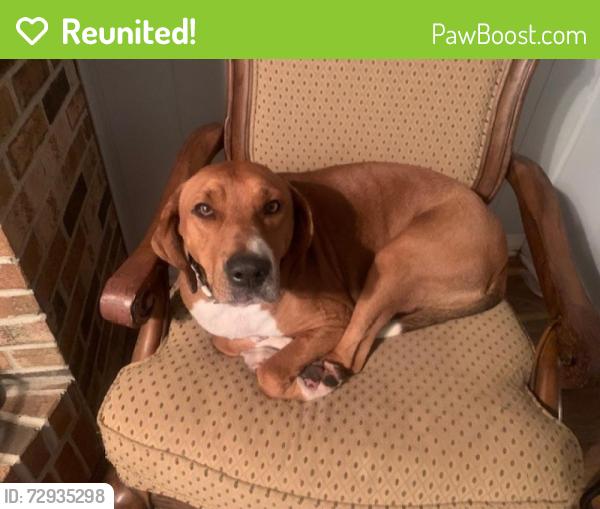 Reunited Male Dog last seen Near Randolph Post Office , Randolph, AL 36792