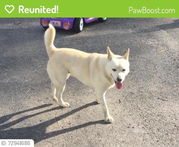 Reunited Female Dog last seen FM 563, Wallisville, TX 77597