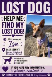 Lost Female Dog last seen George hildebran elementary , George Hildebran School Rd, NC 28612