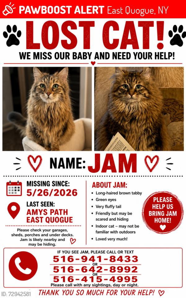 Lost Female Cat last seen Old country road and bennet circle , East Quogue, NY 11942
