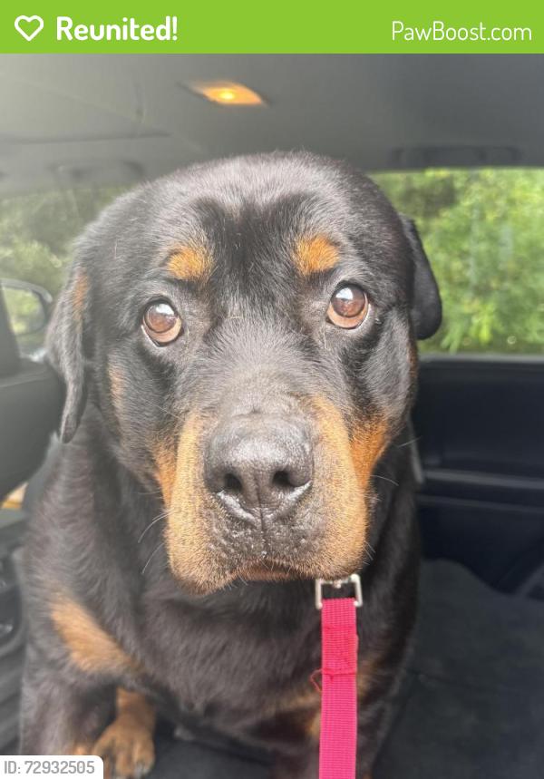 Reunited Female Dog last seen Oak Manor ests, St. Tammany Parish, LA 70460