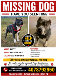 Reunited Male Dog last seen Pines of wekiva, Apopka, FL 32712
