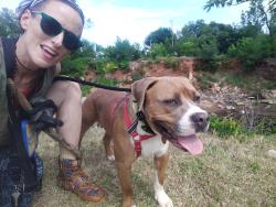 Reunited Male Dog last seen NW 101st and McKinley , Oklahoma City, OK 73114