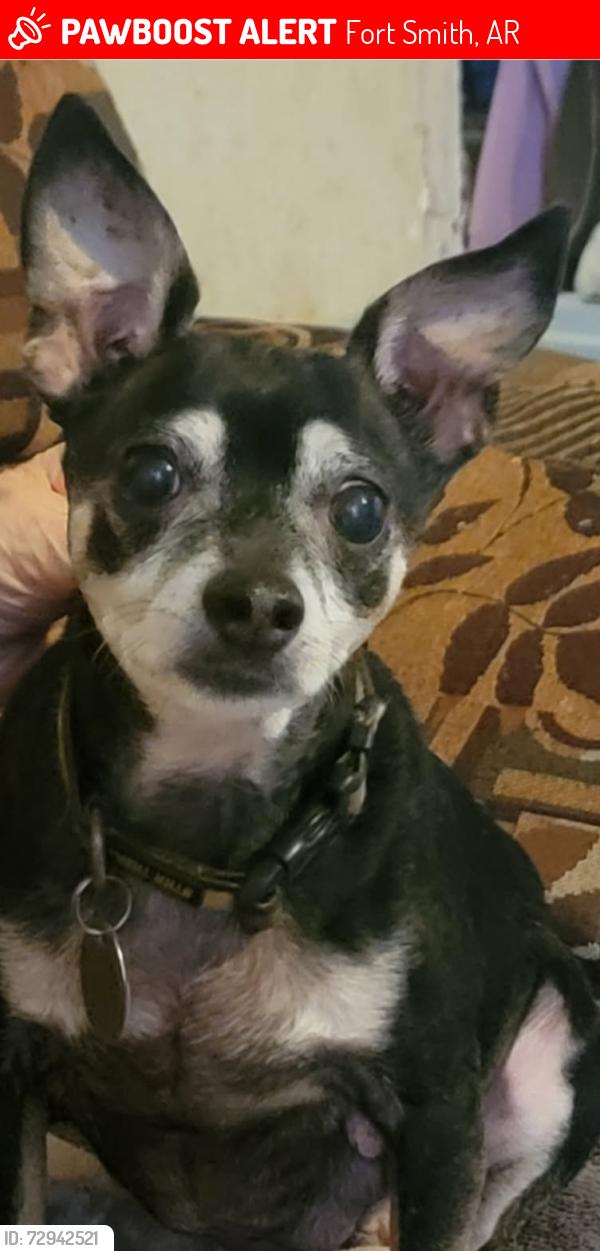 Lost Male Dog last seen Morrison Elementary School, Fort Smith, AR 72904