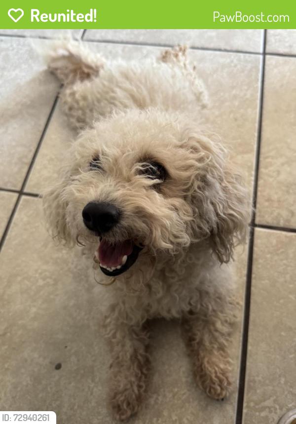 Reunited Male Dog last seen Broadbend & Cherry Hill St, Las Vegas, NV 89122